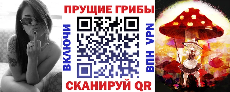 где купить   Белоозёрский  Галлюциногенные грибы Psilocybine cubensis 